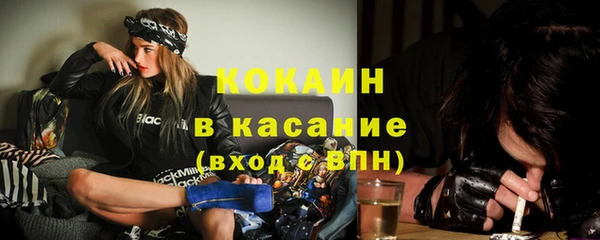 бошки Бронницы