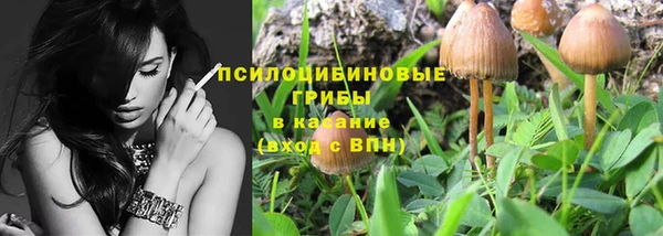 бошки Бронницы