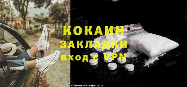 бошки Бронницы
