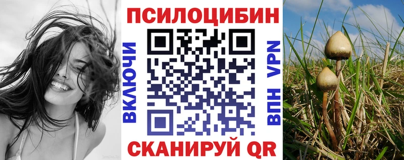 Псилоцибиновые грибы мухоморы  цены   Тольятти 